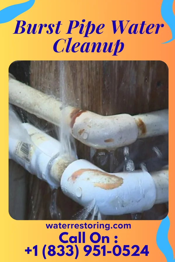 Burst Pipe Water Cleanup in Adwolf, VA