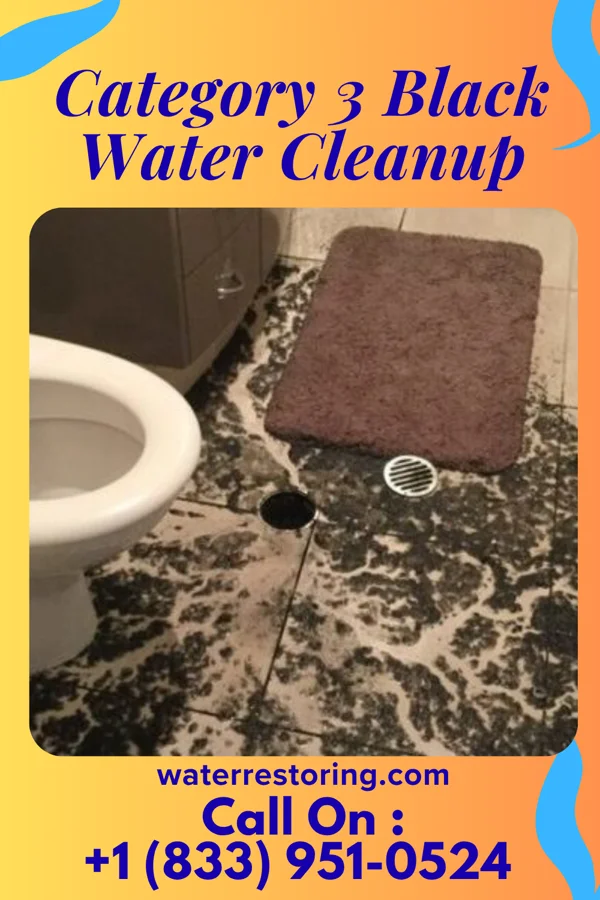 Category 3 Black Water Cleanup in Adwolf, VA