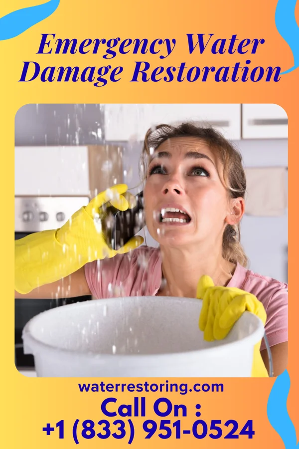 Emergency Water Damage Restoration in Adwolf, VA