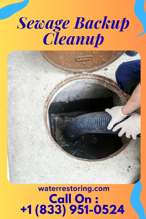 Sewage Backup Cleanup in Adwolf, VA
