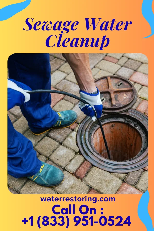 Sewage Water Cleanup in Adwolf, VA