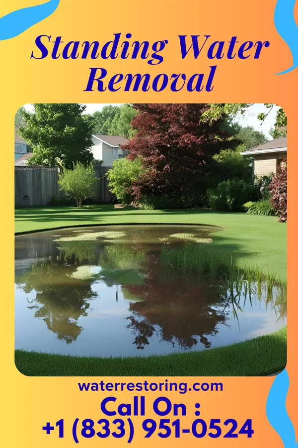 Standing Water Removal in Adwolf, VA
